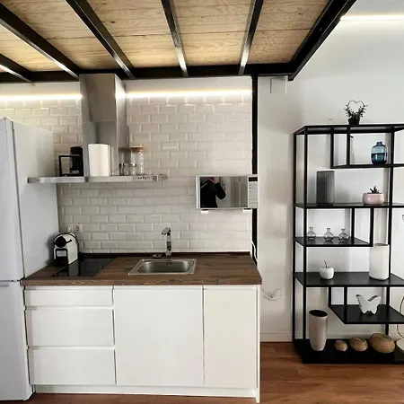 公寓 Ruzafa Modern Lofts 瓦伦西亚