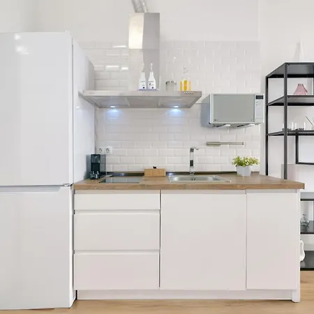 Ruzafa Modern Lofts 公寓 瓦伦西亚